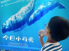 -上海海洋大学鱼文化博物馆(军工路校区)