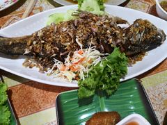 -Jungle Kitchen