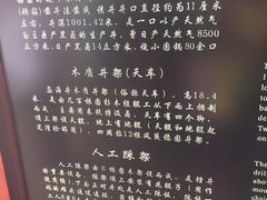 -燊海井