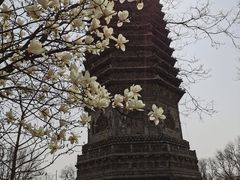 -玲珑塔公园