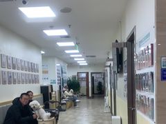 -美联众合动物医院·24h转诊中心