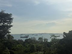 -圣淘沙天际线斜坡滑车