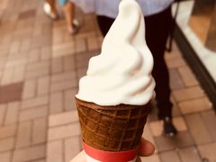 -富豪雪糕车流动点(尖沙咀店)