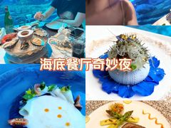-亚特兰蒂斯•OSSIANO奥西亚诺海底餐厅
