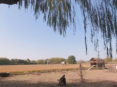 -长兴太湖图影湿地文化园