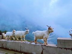 -白草畔自然风景区