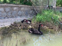 -南翠屏公园