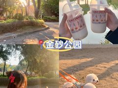 -金砂公园