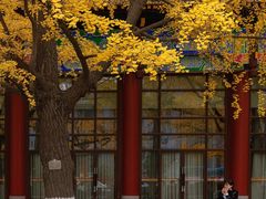 -四川大学(华西校区)