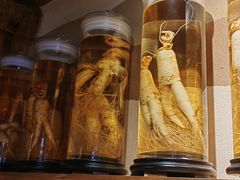 -长寿参鸡汤(朝韩风情街店)