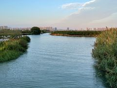 -三垟湿地
