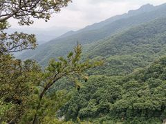 -牛背梁国家森林公园