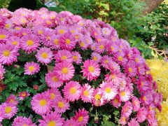 -汇龙潭