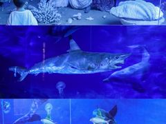 -广东中医药博物馆
