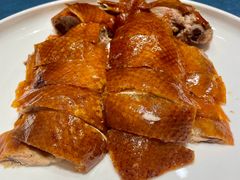 -金狮麟·新豫菜(金码大厦店)
