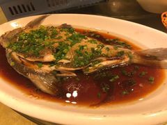 -刘胖子家常菜·蹄花焖藕(中南店)