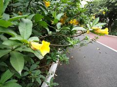 -南宁南湖公园