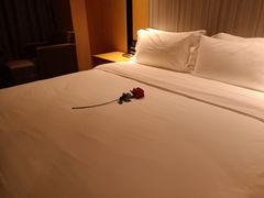 -麗枫酒店(成都理工大学地铁站店)