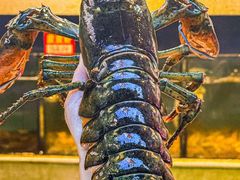-东江海鲜大排档·潮汕菜·砂锅粥