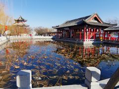 -济南大明湖景区
