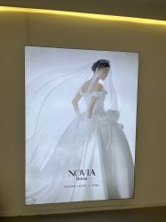 -金夫人婚纱摄影(总店)