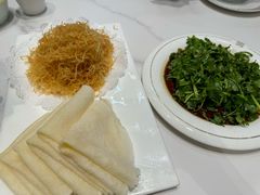 -丁老爷子苏香圆