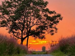 -汉长安城未央宫国家考古遗址公园