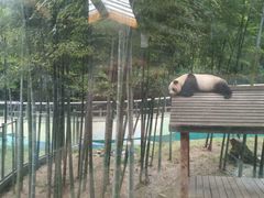 -天目湖御水温泉·度假酒店