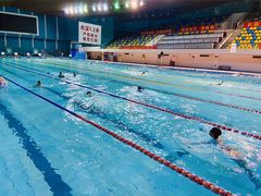 -重庆市奥林匹克体育中心-游泳跳水馆