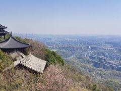 -杭州半山国家森林公园