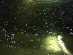 -苏州湾王焰温泉度假酒店