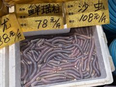 -大门水乡·顺德菜