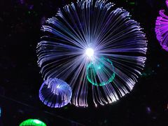 -武汉5D星空错觉艺术馆(中心百货店)