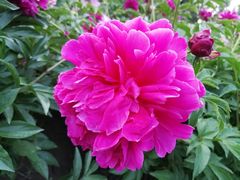 -长春公园(普阳街道)