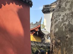 -丝绸小镇荻港古村
