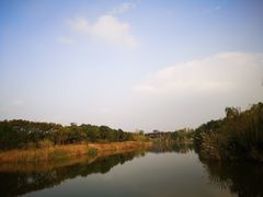 -白鹭湾湿地公园