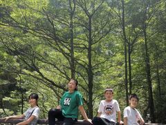 -武陵山森林公园