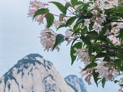 -华山风景名胜区