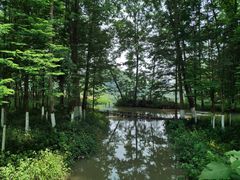 -桤木河湿地公园