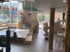 大堂-飞行喵MR PILOT|猫舍·猫咖(静安大融城店)