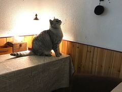 -隅cafe(傅厚岗店)