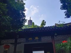 -焦山风景区