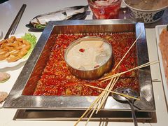 -二荆条·蜀鲜汇城市森林火锅