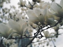 -上海电影博物馆