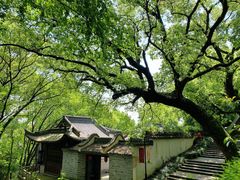 -宁波市保国寺古建筑博物馆