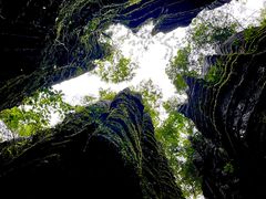 -梭布垭石林景区