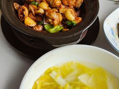 -鸽小宝(深圳首店)