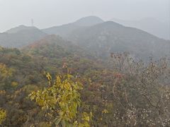 -北京鹫峰国家森林公园