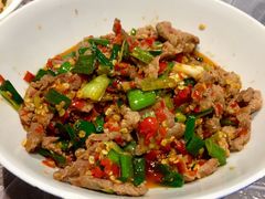 泡辣椒炒牛肉-壹盏灯(惠农店)