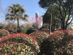-洪湖家庭农场·团建·露营·会议